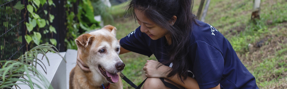 Caring for man's best friend at Blk 2 Furever Canine