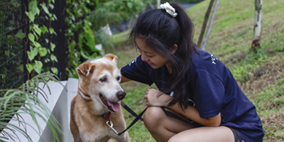 Caring for man's best friend at Blk 2 Furever Canine