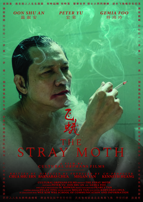The Stray Moth