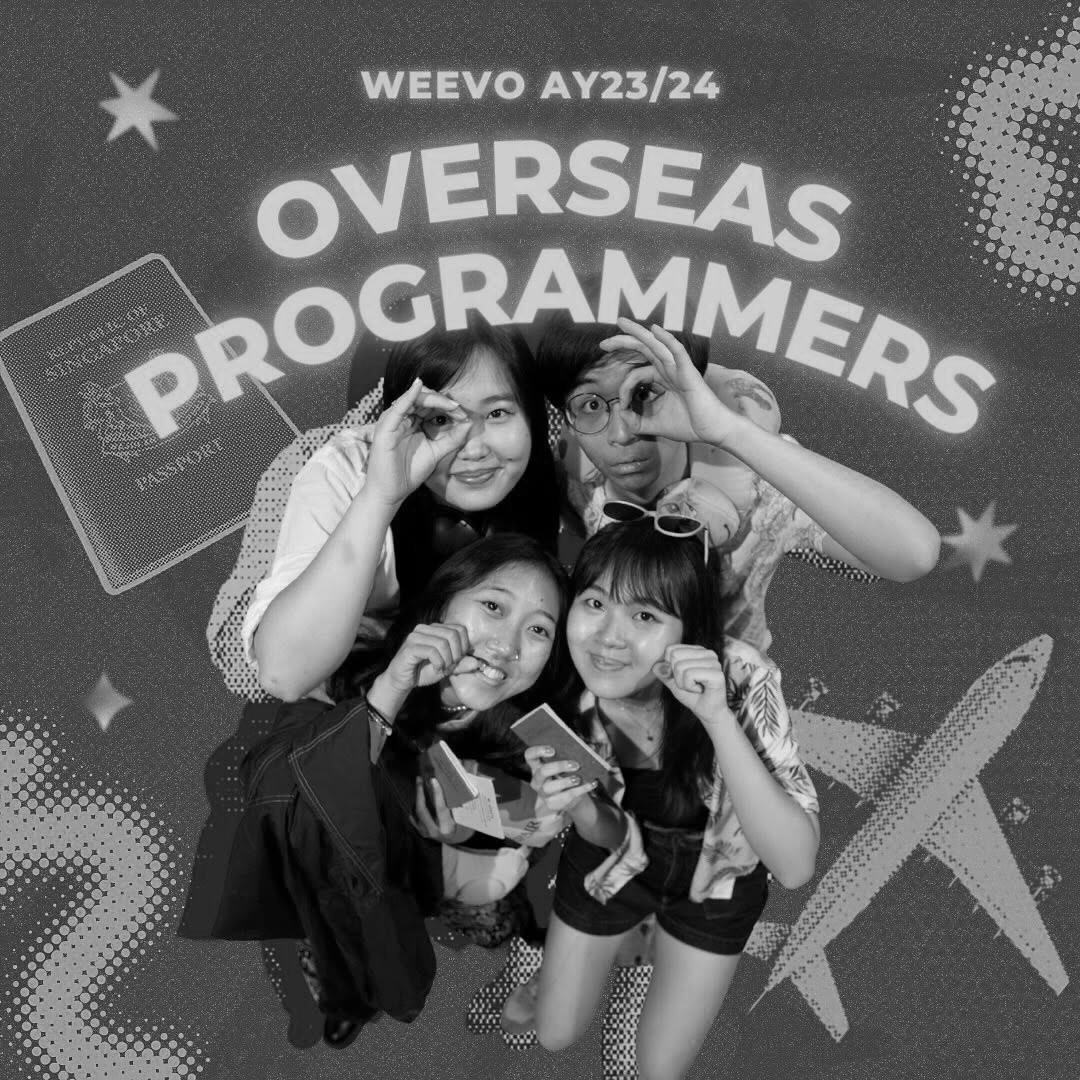 Overseas Programmers